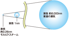 湯気とモルビドスチームの比較